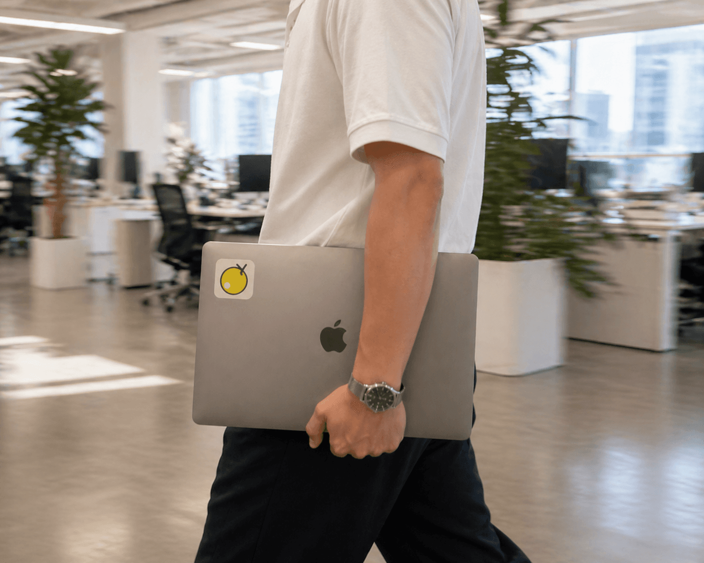 A working session with Yuzu proof assets on a laptop